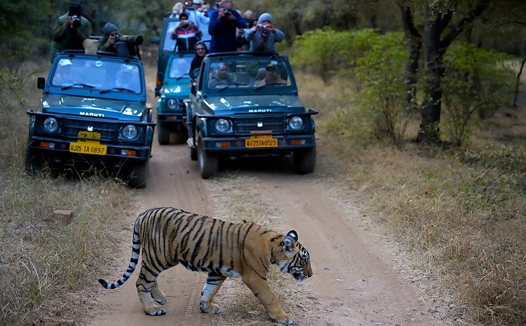 ajmer to ranthambore taxi